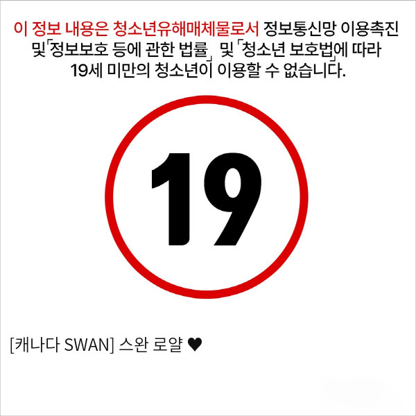 [캐나다 SWAN] 스완 로얄 ♥